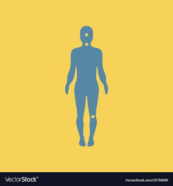 Symptoms of meningitis on human body vector image