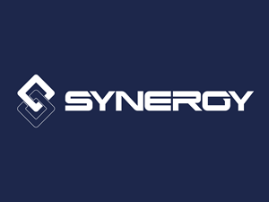 Synergy Logo Vector