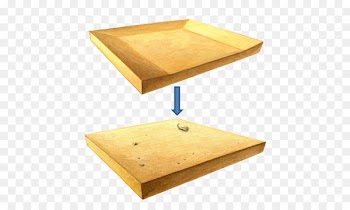Systems Analysis, System, Ecosystem, Table, Wood PNG