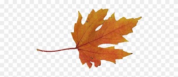 Szeretettel Meghívunk Minden Kedves Volt És Jelenlegi - Maple Leaf