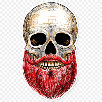 T-shirt Calavera Image Skull Photography - tshirt 