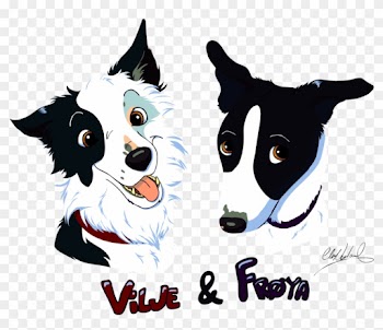T-shirt Design - Border Collie - Border Collie Shirt