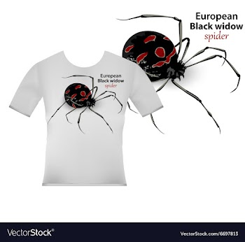 T shirt design with black widow vector image