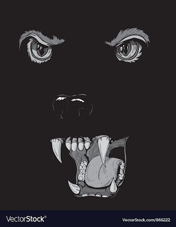 T-shirt design with raging panther vector image