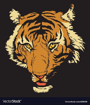 T-shirt design with raging tiger vector image