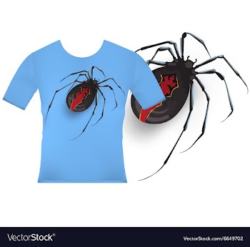 T shirt designs katipo spider vector image