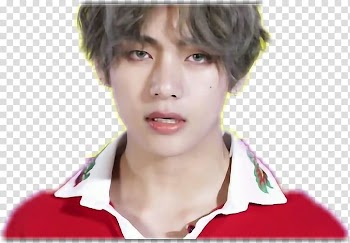 T-shirt DNA 2017 BTS Live Trilogy Episode III: The Wings Tour K-pop, watercolor flowers transparent background PNG clipart