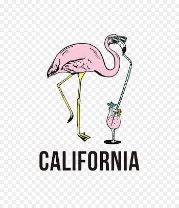 T-shirt Hoodie Clothing AliExpress - Pink flamingo 