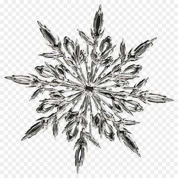 T-shirt Ice crystals Snowflake - Snowflake ice crystals 