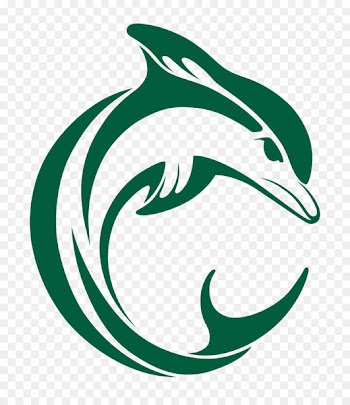 T-shirt Logo Graphic design - dolphin 