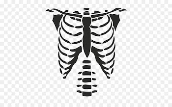 T-shirt Rib cage Roblox Hoodie - T-shirt 