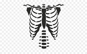 T-shirt Rib cage Roblox Hoodie - T-shirt png download - 500*546 ...