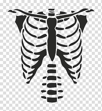 T-shirt Rib cage Roblox Hoodie, T-shirt transparent background PNG clipart