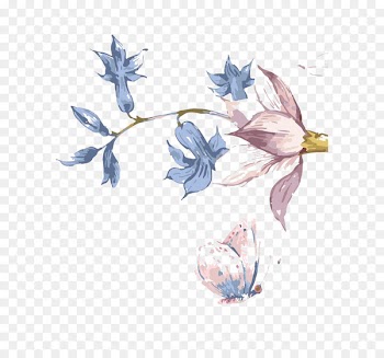 T-shirt Watercolor painting Drawing Portable Network Graphics Petal - annouce watercolor 