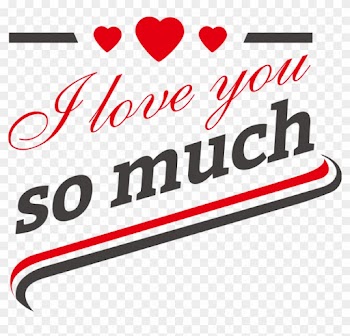 T-shirt Why I Love You So Much Scalable Vector Graphics - Best Gift - Bacon I Love You So Much Hoodie/t-shirt/mug