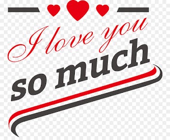 T-shirt Why I Love You So Much Scalable Vector Graphics - Vector Valentine's Day wedding label 
