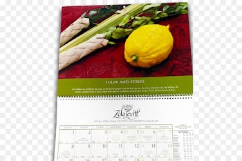 Tabernacle Sukkot Etrog Lulav Sukkah - Jewish Holidays 