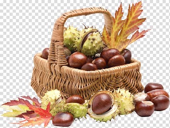 Table Basket Chestnut Light , chestnut transparent background PNG clipart