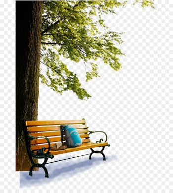 Table Bench Garden furniture - Park bench 