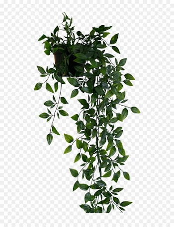 Table, Shelf, Bathroom, Flowering Plant, Flower PNG