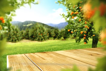table space and orange fruits 