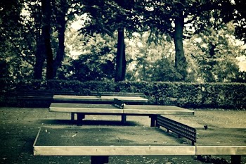          Table Tennis Free Photo     