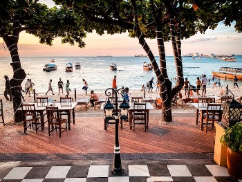Tables and Chairs Under Trees on the Beach Patio