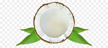 Tableware - Coconut Transparent PNG Clip Art Image 
