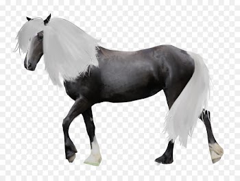 Tack shop Rein Horse blanket Equestrian - equine pattern 