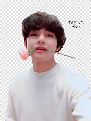 Taehyung Flower, man biting pink flower transparent background PNG clipart