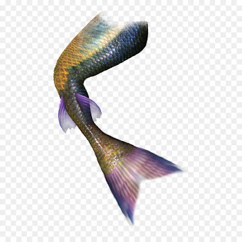Tail Mermaid Green Fish - Creative decorative mermaid tail 