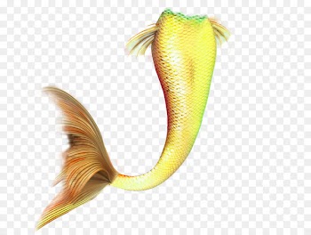 Tail PicsArt Photo Studio Mermaid Tutorial Fish - mermaid tail 