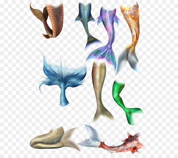 Tail Poster - A wide variety of fish 