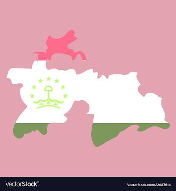 Tajikistan map vector image