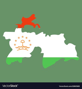 Tajikistan map vector image