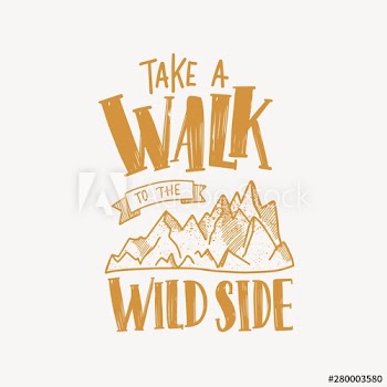Take A Walk To The Wild Side motivational slogan or text handwritten with calligraphic font and decorated by mountains