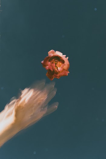 Taken at night with a slow shutter speed, the flower was floating stationary overhead on some clear thread.
