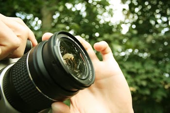 takingPictures2.jpg