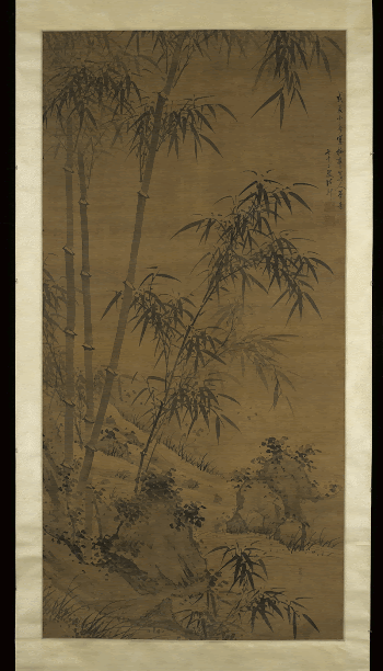 tall bamboo stalks with leaves | Free Photo - rawpixel