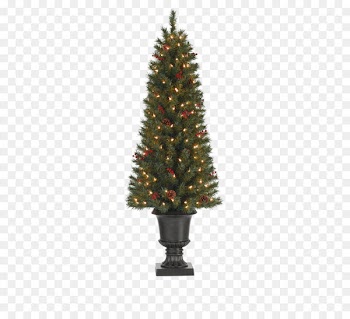 Tall Christmas tree 