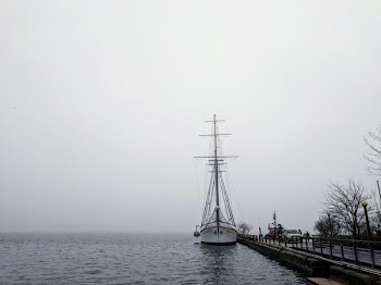 Tall Ship Docked In Fog