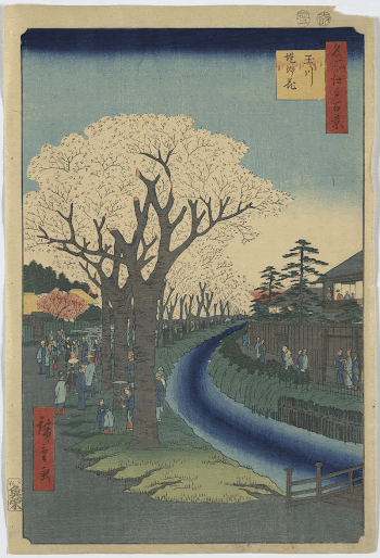 Tamagawa-zutsumi no hana. Original from the Library | Free Photo - rawpixel