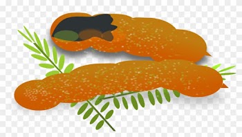 Tamarin Clipart Brown - Clip Art Sour Foods