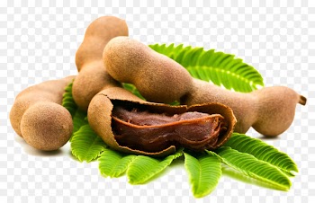 Tamarind Fruit Chutney Sweet and sour Seed - dry fruit 
