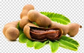 Tamarind, Tamarind Fruit Chutney Sweet and sour Seed, dry fruit transparent background PNG clipart
