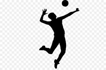 Tampa North Volleyball Club Thailand women's national volleyball team Women's Volleyball Thailand League Supreme Volleyball Club - volleyball 