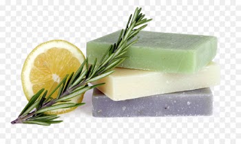 Tampa, React, Cascading Style Sheets, Food, Soap PNG
