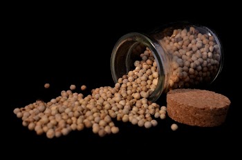 Tan Seeds Coming Out of Glass Jar