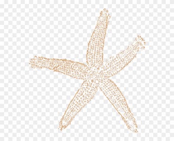 Tan Starfish Wedding Clip Art - Beach Wedding Clip Art