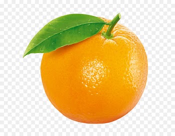 Tangerine Clementine Orange Fruit - Orange fruit 